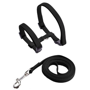 Pet Cat Harness & Leash Adjustable Cat Harness Breakaway Nylon Strap Collar with Leash Leads for Kitten Puppy Small Dogs Walking