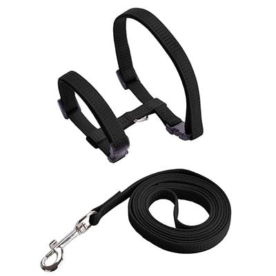Pet Cat Harness & Leash Adjustable Cat Harness Breakaway Nylon Strap Collar with Leash Leads for Kitten Puppy Small Dogs Walking