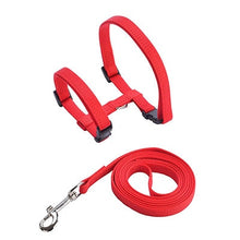 Load image into Gallery viewer, Pet Cat Harness &amp; Leash Adjustable Cat Harness Breakaway Nylon Strap Collar with Leash Leads for Kitten Puppy Small Dogs Walking
