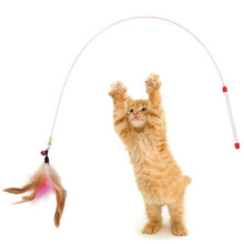 Load image into Gallery viewer, 1Pc Cat Interactive Toy Stick Feather Wand With Small Bell Mouse Cage Toys Plastic Artificial Colorful Cat Teaser Toy Supplies
